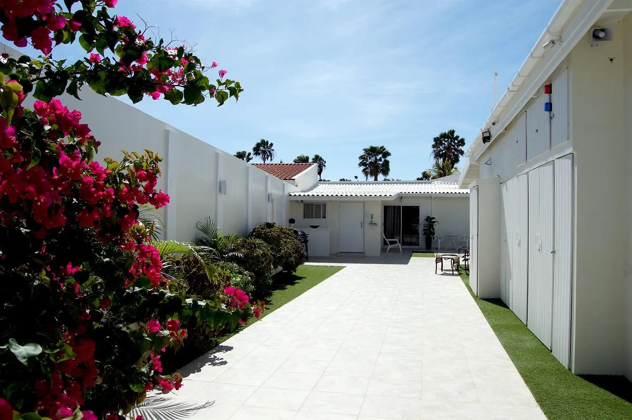 אכסניה פאלם ביץ' Aruba Suites
